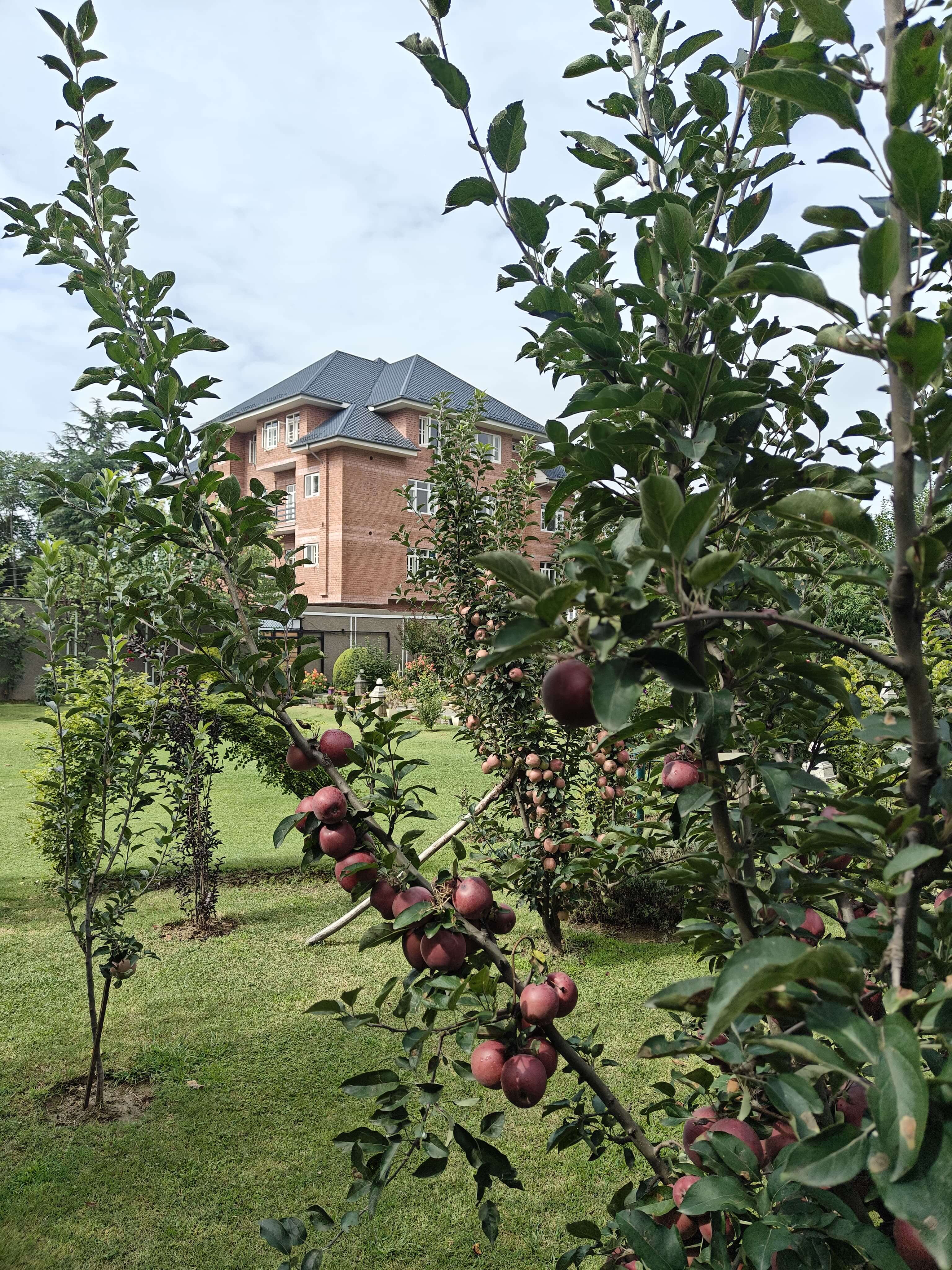 Furnished living room of Maskan service apartment in Srinagar with comfortable seating and warm interiors